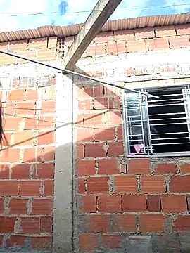 ariana d20 online show from 3, 10, 2025