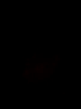 Noviostoxico online show from 29, 10, 2025