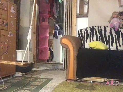 frenkynator online show from 15, 11, 2025