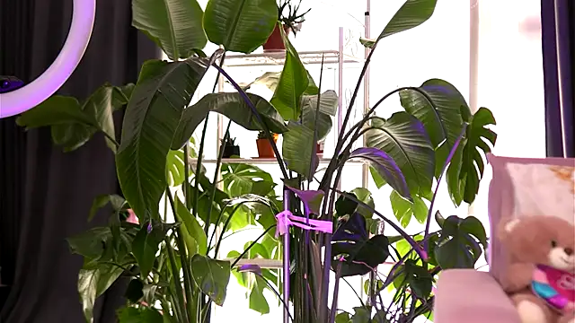 EmilyRaymont online show from 21, 9, 2025