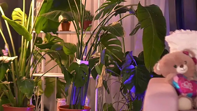 EmilyRaymont online show from 3, 12, 2025