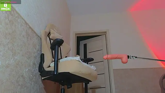 Katy perry  online show from 11, 2, 2026