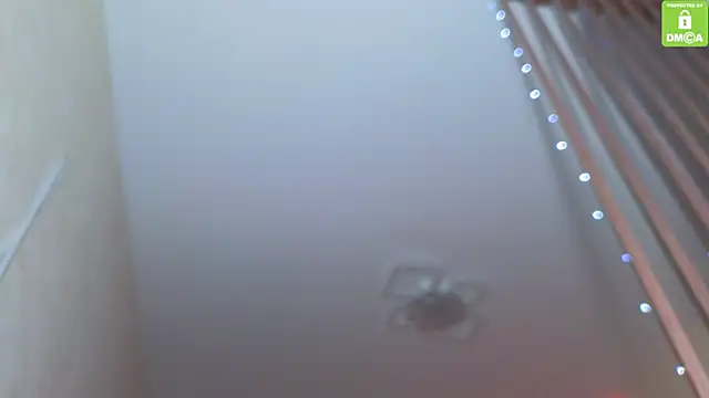 Katy perry  online show from 27, 11, 2025