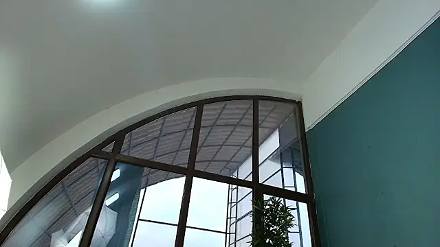 AlicePirs online show from 20, 3, 2026