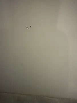 Snapshot of orient_zob chatting on 10, 2, 2026 orient zob online show from 10, 2, 2026