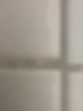 Snapshot of orient_zob chatting on 14, 11, 2025 orient zob online show from 14, 11, 2025