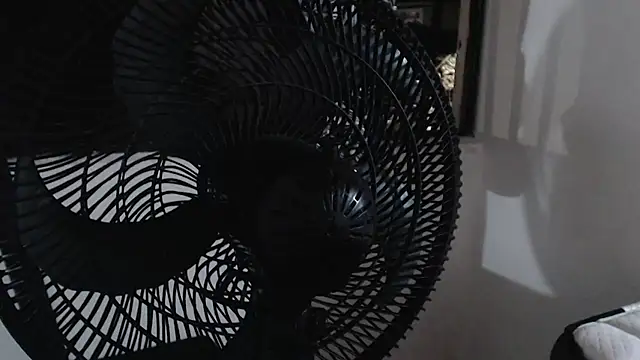 harry greg21 online show from 15, 11, 2025