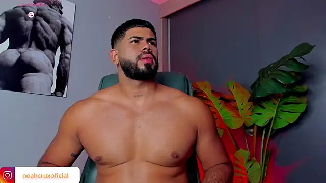 noah crux online show from 31, 3, 2026