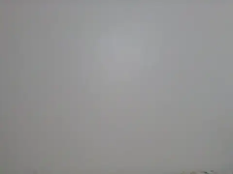 DADDYS shuga online show from 9, 10, 2025