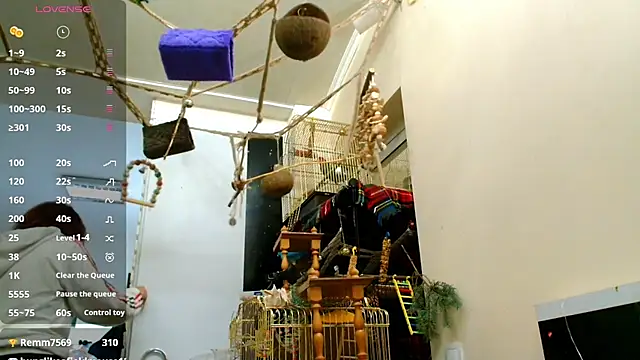 Sophie Bell online show from 2, 2, 2025