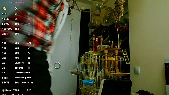 Sophie Bell online show from 6, 2, 2025