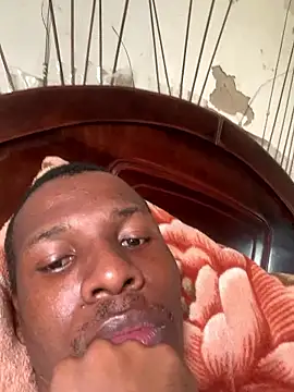 Snapshot of DManL chatting on 17, 1, 2026 DManL online show from 17, 1, 2026