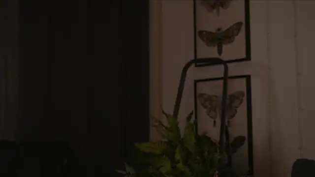 Freckle Diyana online show from 27, 9, 2025