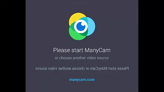 Saskia  Summer online show from 11, 3, 2025