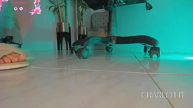 charlotte  grey online show from 24, 2, 2026