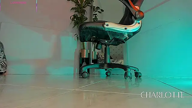 charlotte  grey online show from 20, 11, 2025