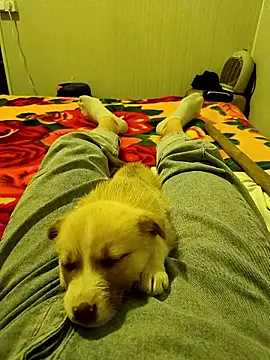 arenn1997 online show from 9, 1, 2026