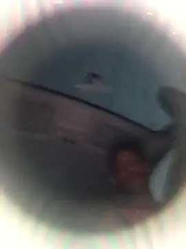 Ursonego online show from 3, 10, 2025