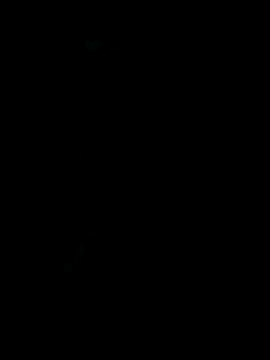 dimitriei online show from 16, 11, 2025