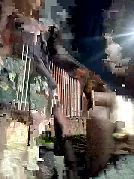 Snapshot of Gutierrez6383 chatting on 21, 4, 2026 Gutierrez6383 online show from 21, 4, 2026