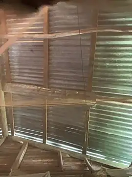 phola12 online show from 27, 2, 2025