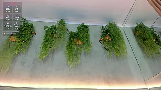 Lana Lann online show from 22, 9, 2025