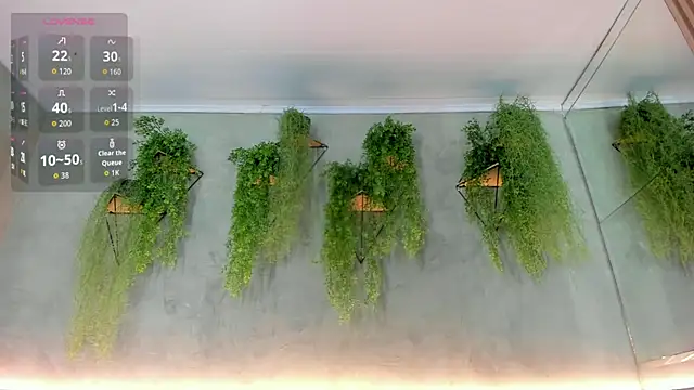 Lana Lann online show from 23, 11, 2025