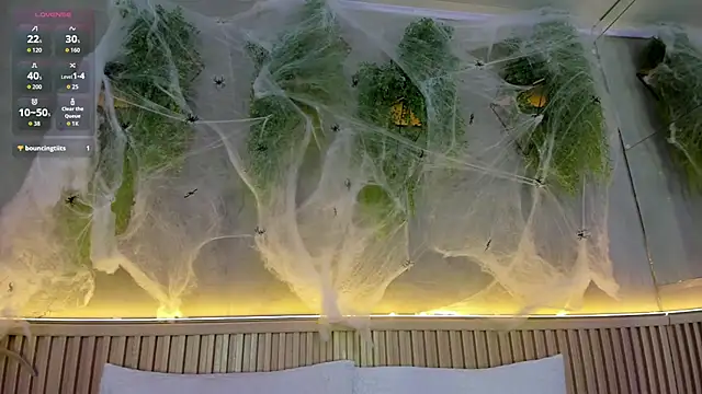 Lana Lann online show from 25, 10, 2025