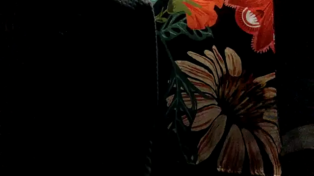 Robriguezxxx online show from 22, 2, 2026