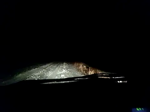 dlvczegonie online show from 17, 2, 2026