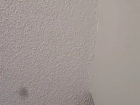 Snapshot of --D-a-D-D-y- chatting on 1, 3, 2025 --D-a-D-D-y- online show from 1, 3, 2025