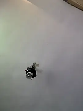 Brando2585 online show from 3, 4, 2026