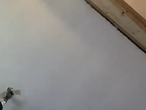 Brando2585 online show from 7, 3, 2026