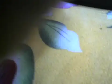 sexynasha online show from 21, 1, 2025