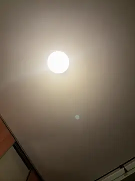 Snapshot of palorid chatting on 10, 9, 2025 palorid online show from 10, 9, 2025