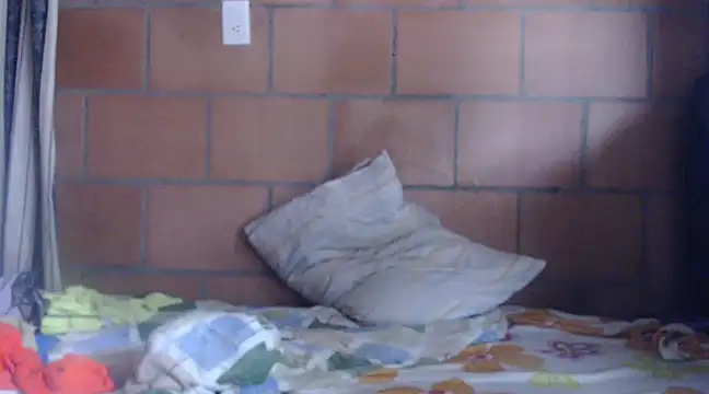 jgcolombia17 online show from 8, 3, 2025