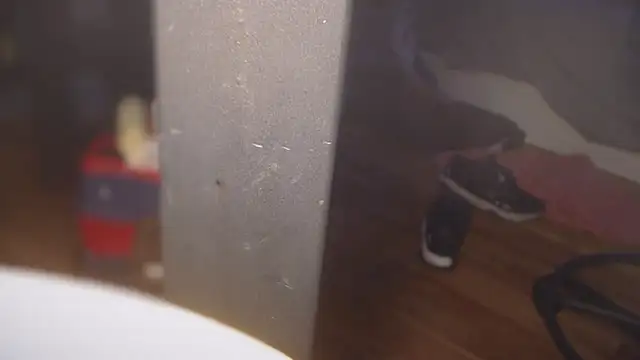 flexingplexico online show from 1, 3, 2025