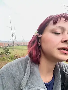 bombom 6 online show from 8, 11, 2025