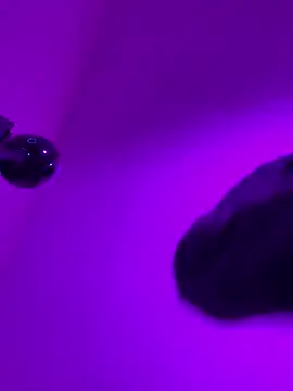 Ivann4 online show from 5, 3, 2025