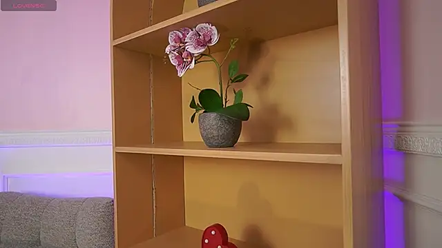 Anybuny online show from 7, 11, 2025