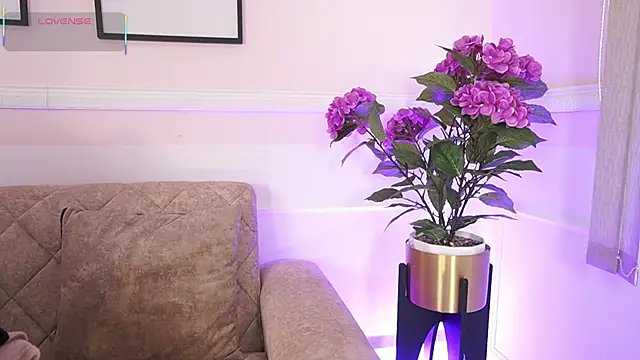 Anybuny online show from 18, 12, 2025