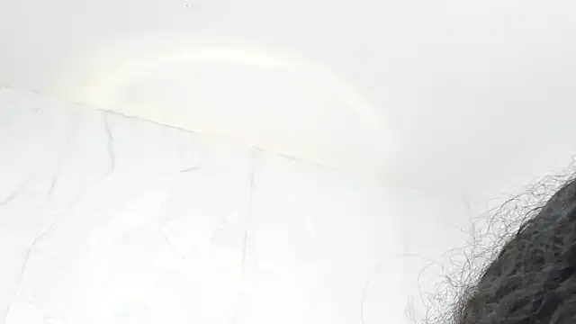 iam lilo online show from 16, 2, 2025