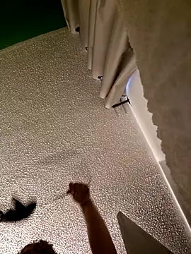 kitty 84 online show from 26, 3, 2026