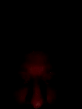 jdrizzle8699 online show from 3, 10, 2025