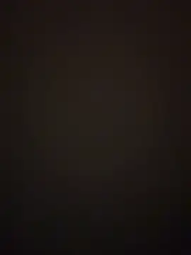 prettlovely14 online show from 5, 11, 2025