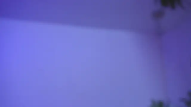 catalina  lovers online show from 17, 12, 2025