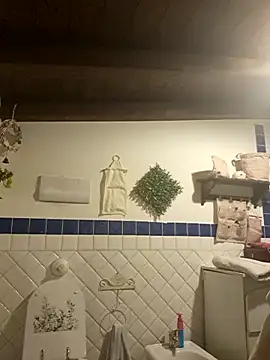 Snapshot of vampvanna23 chatting on 6, 2, 2026 vampvanna23 online show from 6, 2, 2026