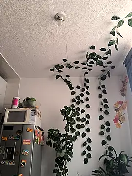 elizatexx online show from 3, 4, 2026