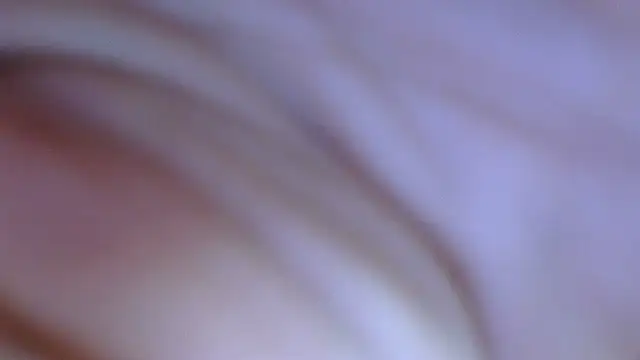 ziggyspice online show from 12, 12, 2024