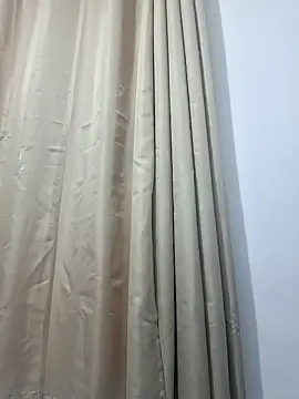 Pietro novin online show from 29, 1, 2025